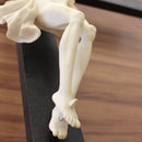 Cruz Vaticana da Paixão