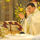 Capa de Missal - 3ª Edição Típica do Missal Romano