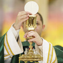 Cálice Vaticano banhado a ouro