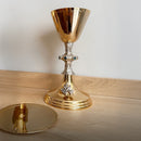 Cálice Santa Maria Mãe de Deus banhado a ouro