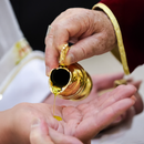 Galheta Unidade banhada a ouro