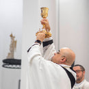 Cálice Vaticano banhado a ouro